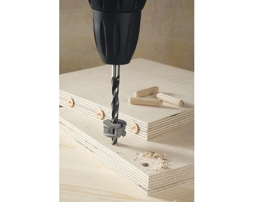 WOLFCRAFT Deuvelmarkeerpunten Ø 6 Mm, 4 Stuks 4 WOLFCRAFT Deuvelmarkeerpunten Ø 6 Mm, 4 Stuks - Afbeelding 2