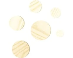 WOLFCRAFT Houten Conische Lamello Ø 40 Mm, 8 Stuks